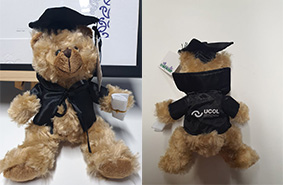 A photograph of some UCOL Graduation Bear.