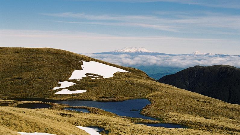 A photograph showing the plains and a snow capped mountain from top of a hill