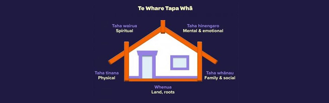 Te Whare Tapa Wha components diagram