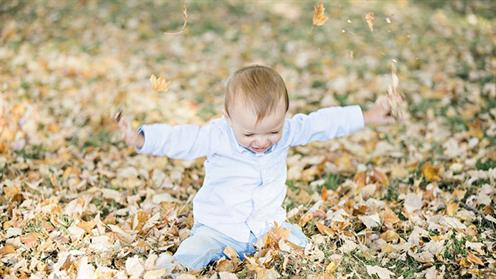 A photograph of a baby playing in leaves