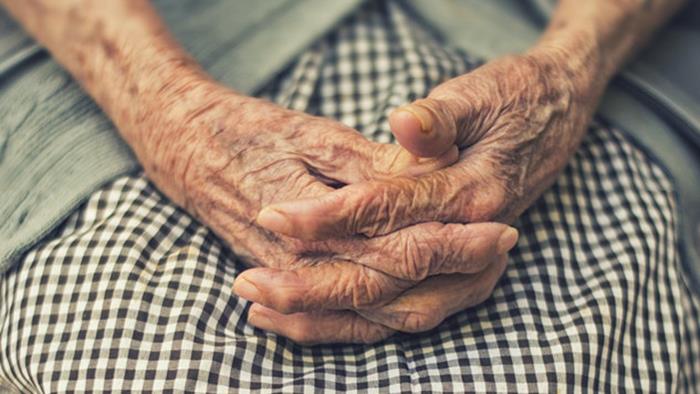 A photograph of an elderly person's hands