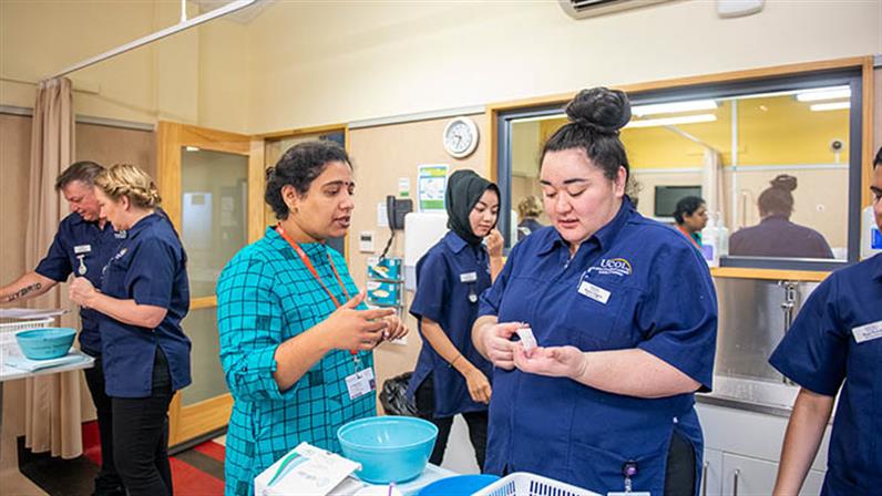 http://www.ucol.ac.nz/ProgrammeImages/2021 New Images/Nursing/New Zealand Certificate in Study and Career Preparation (Level 4) (Nursing Pathway).jpg