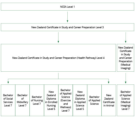 Programme pathway diagram