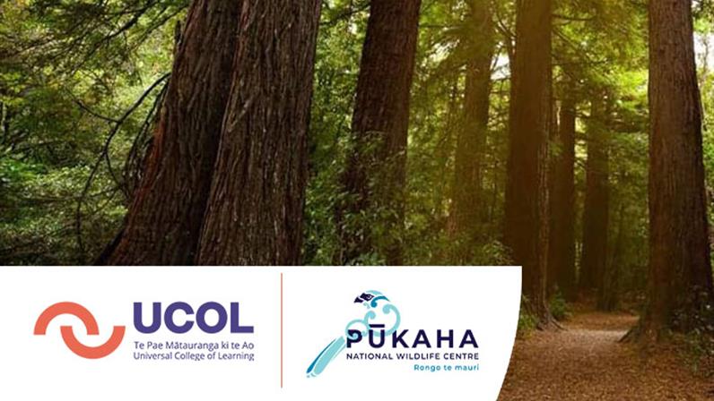A photo of the pathway between tall trees at the Pukaha wildlife centre with Pukaha and UCOL branding on lower left side of the image.