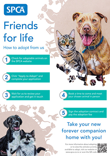SPCA Friends for life poster