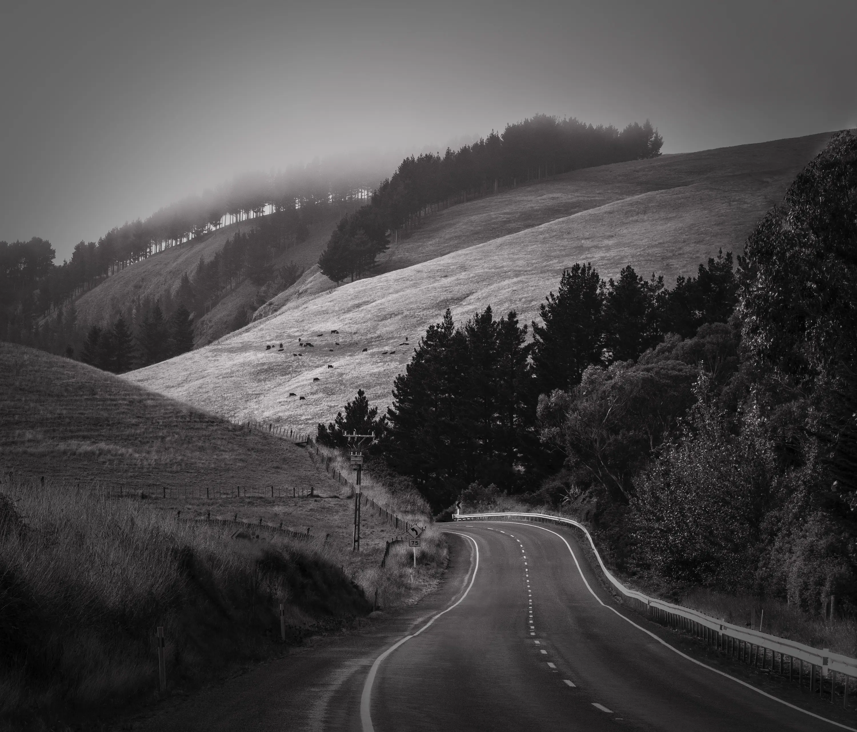 a road with trees on the side