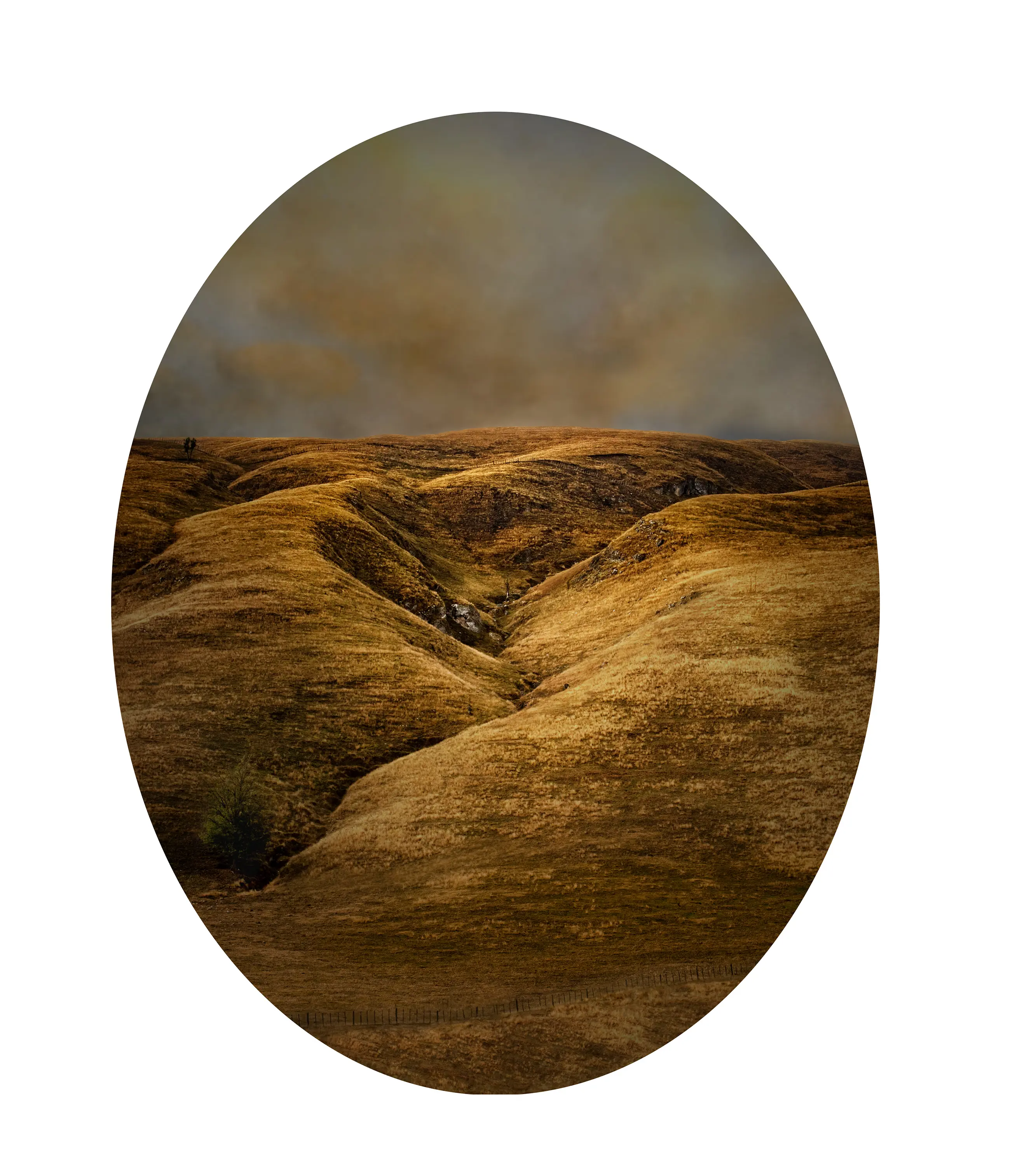 a large brown hills with a small tree