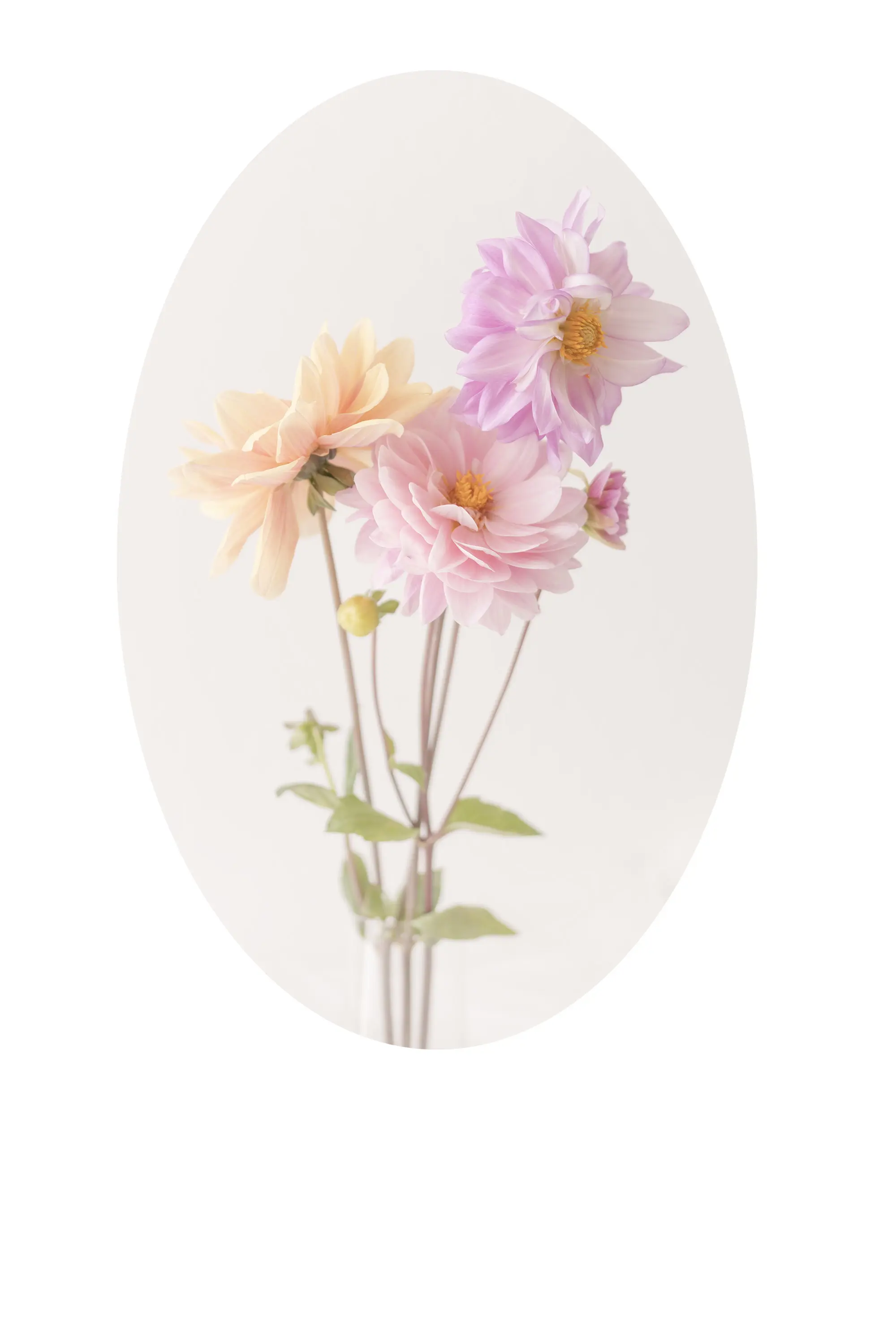 a group of flowers in a vase