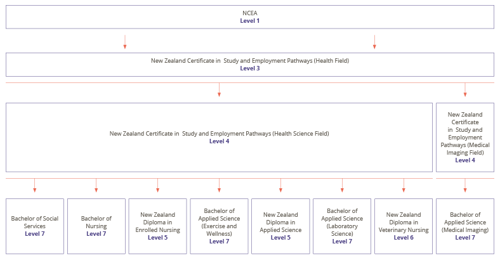MIT Health Field Pathway Diagram