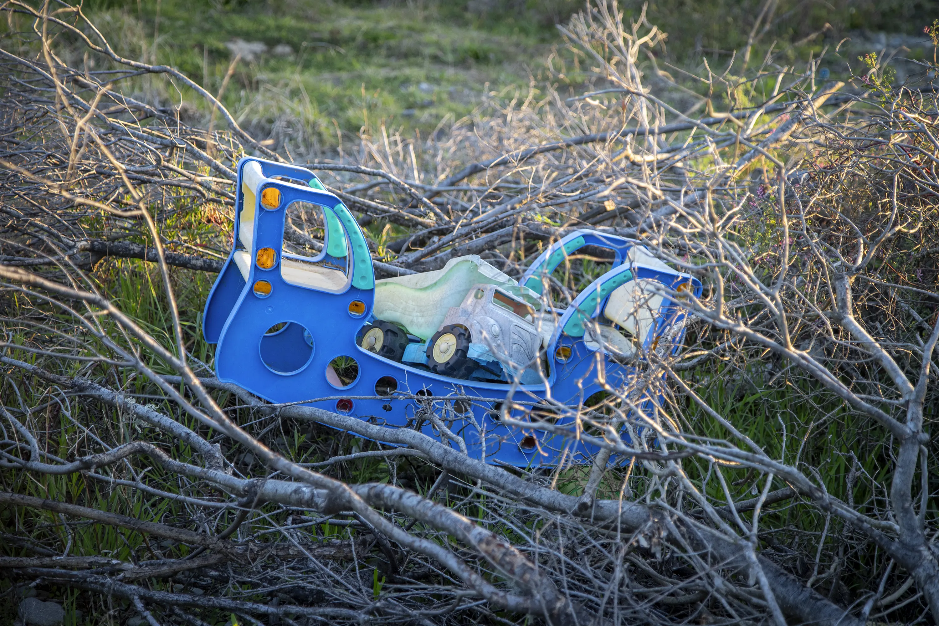 a blue toy truck in the woods